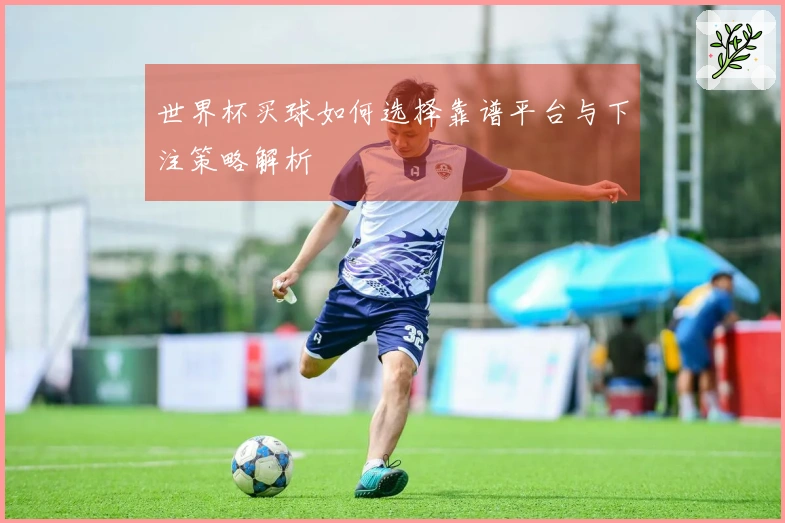 世界杯买球如何选择靠谱平台与下注策略解析