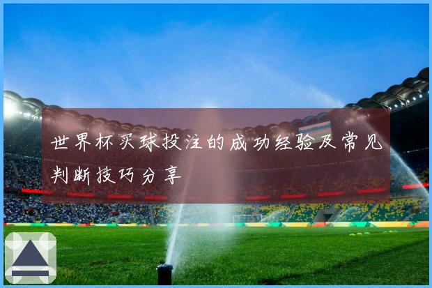 世界杯买球投注的成功经验及常见判断技巧分享