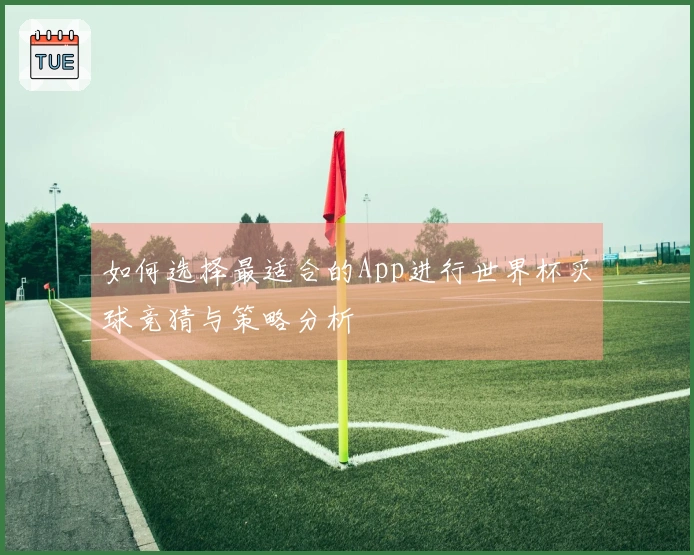 如何选择最适合的App进行世界杯买球竞猜与策略分析