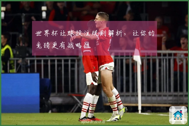 世界杯让球投注规则解析，让你的竞猜更有战略性
