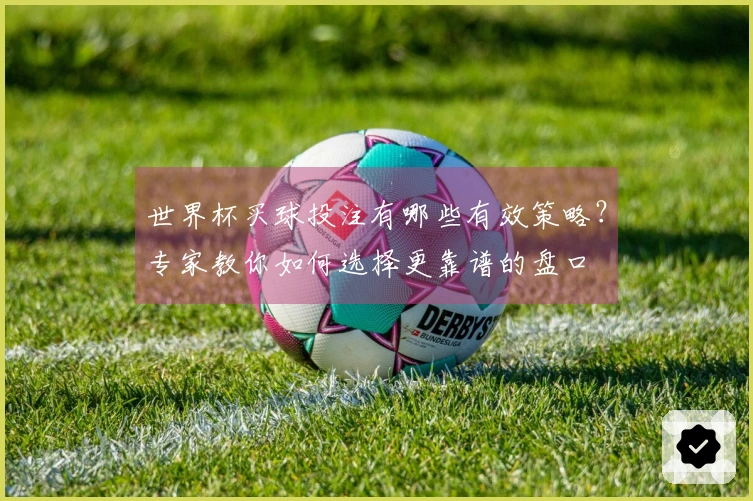 世界杯买球投注有哪些有效策略？专家教你如何选择更靠谱的盘口
