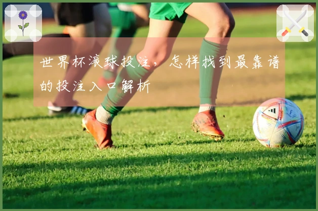 世界杯滚球投注，怎样找到最靠谱的投注入口解析