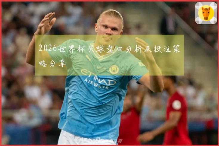 2026世界杯买球盘口分析及投注策略分享